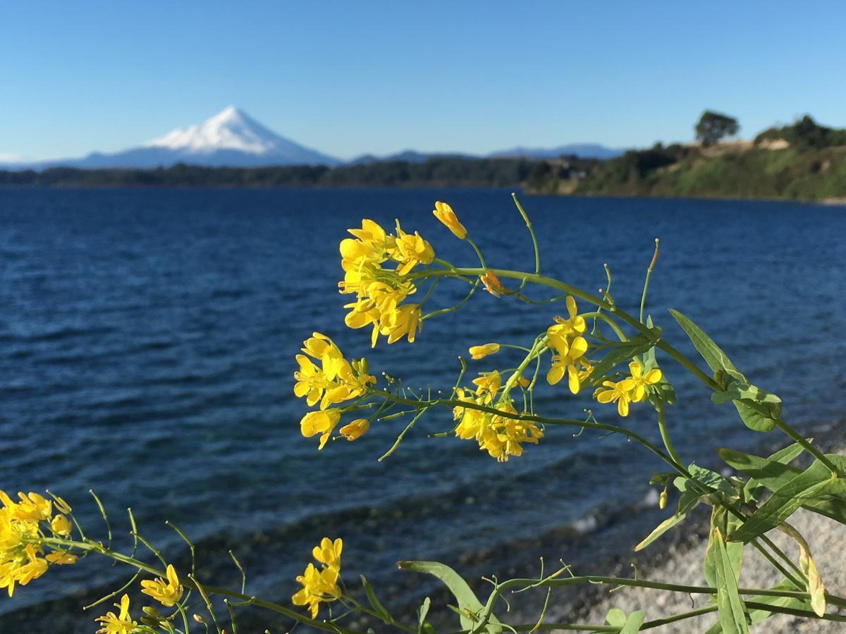 Cabanas Puerto Chalhuaco Puerto Varas Extérieur photo